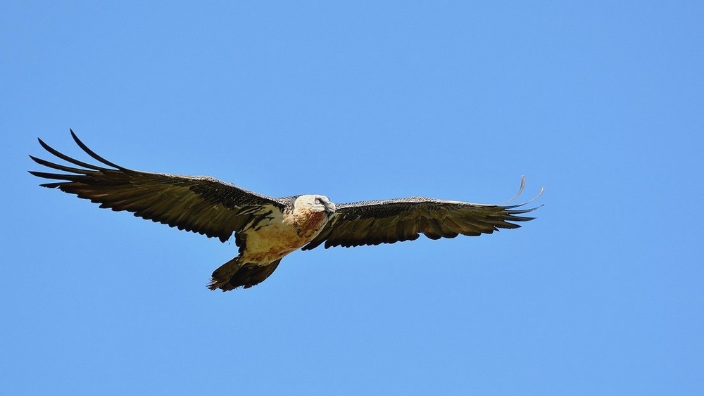 DSC_0957x3.JPG