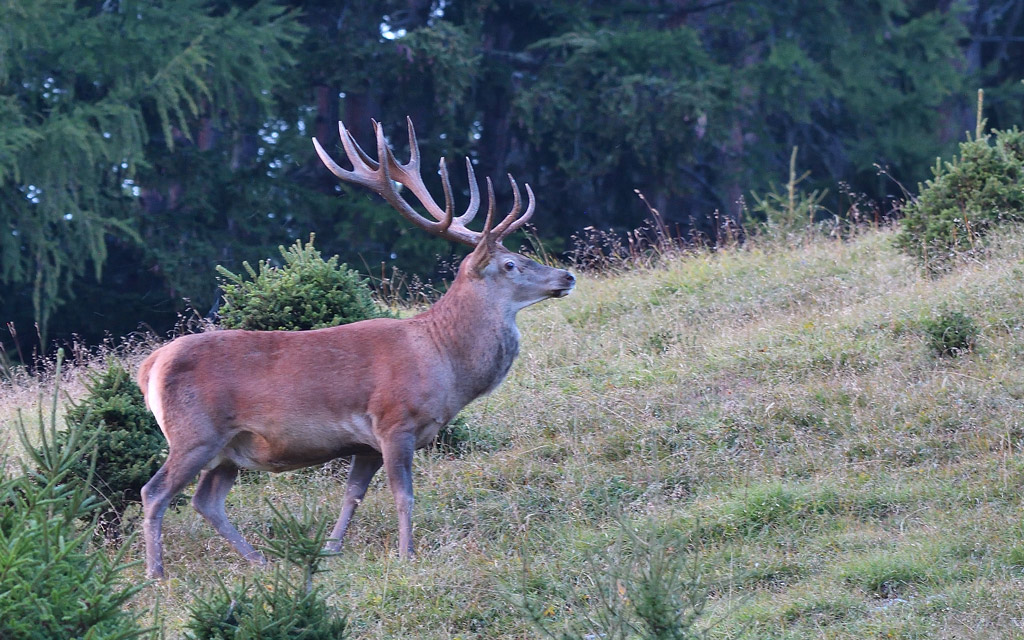 DSC_9140.jpg