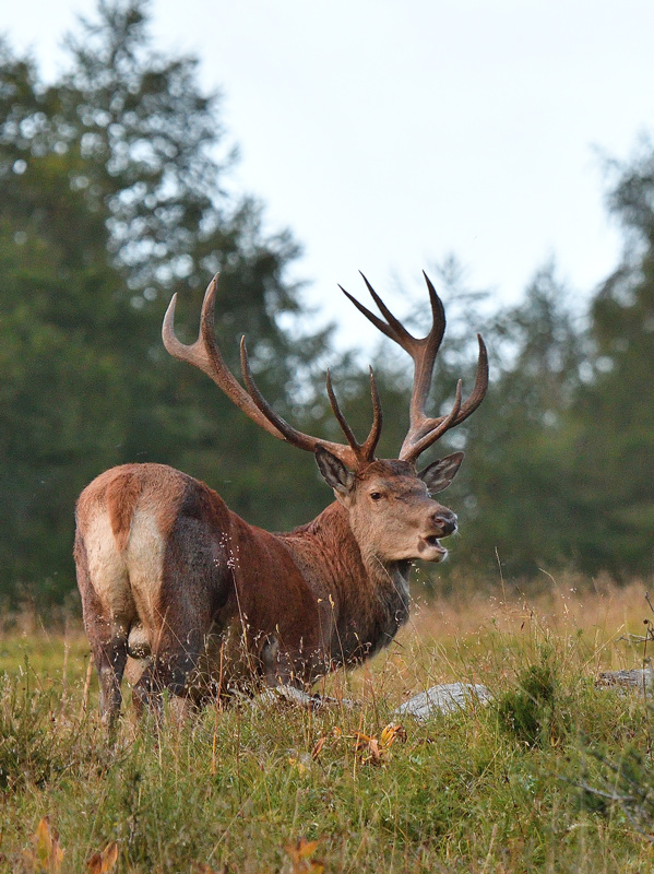 DSC_9160.jpg