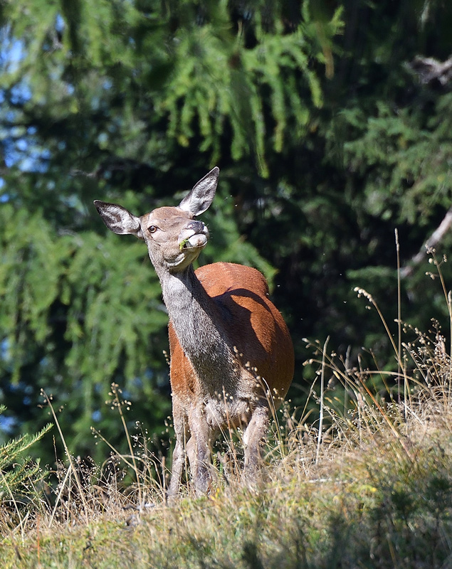 DSC_9166.jpg