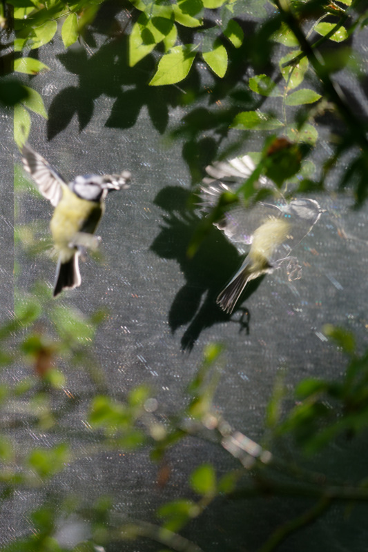 DSC_2882_DxO.jpg