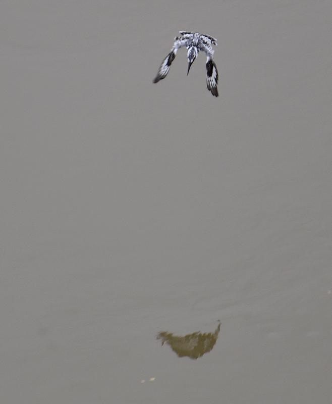 +DS5_9291.jpg