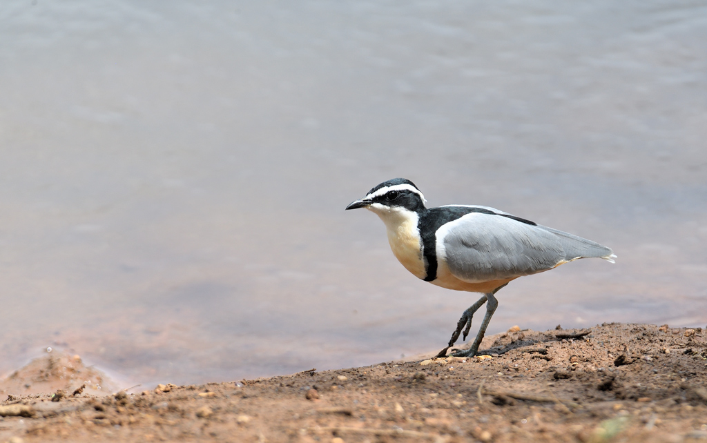 DS5_9492.jpg