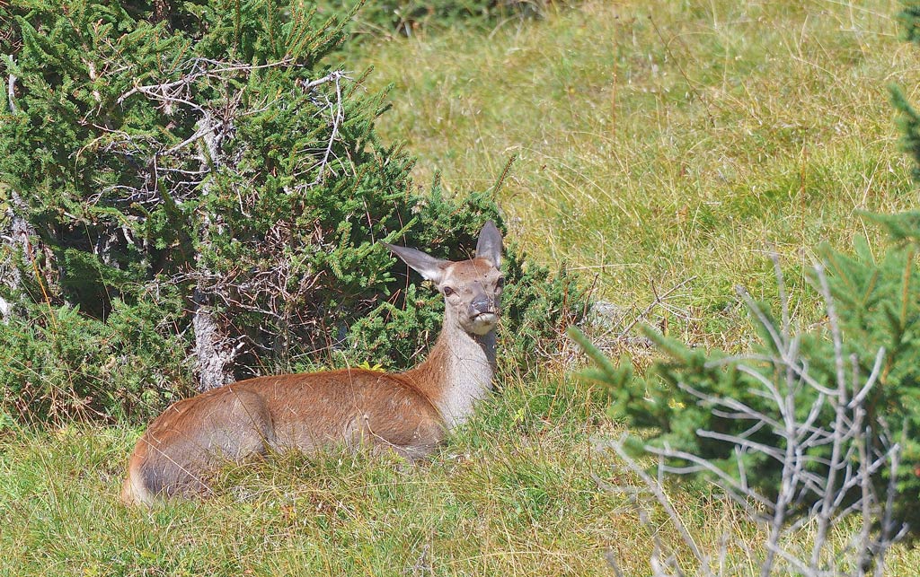 DSC_9180.jpg