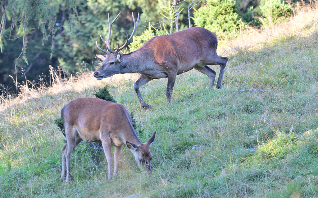 DSC_9210.jpg