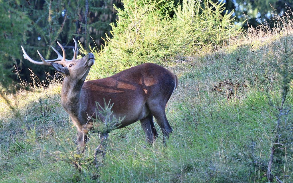 DSC_9212.jpg