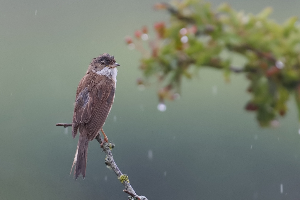 1-1-002.jpg