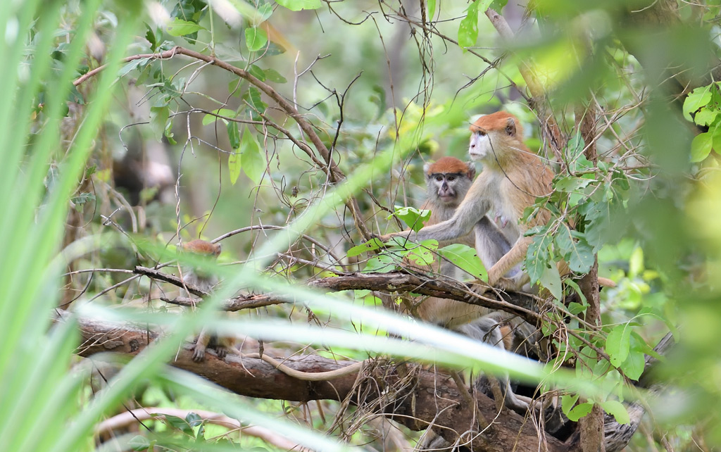 DS5_9520.jpg