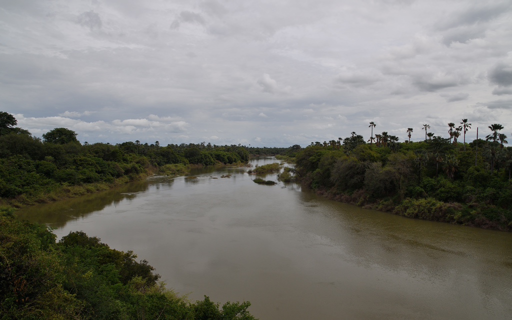 DS5_9550.jpg