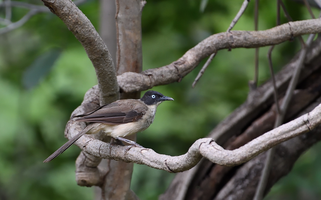 DS5_9592.jpg