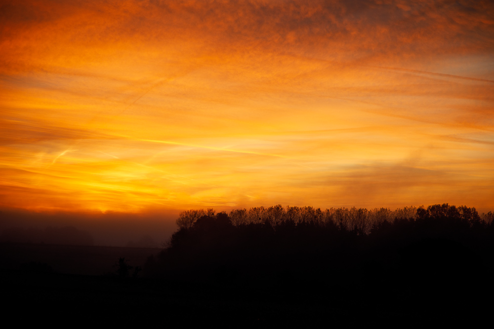 IMG_4863-Modifier.jpg
