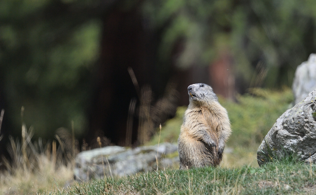 DS5_0571.jpg