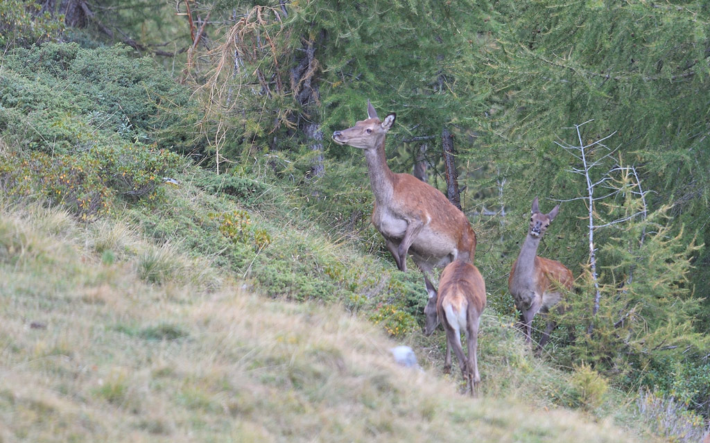 DS5_0579.jpg