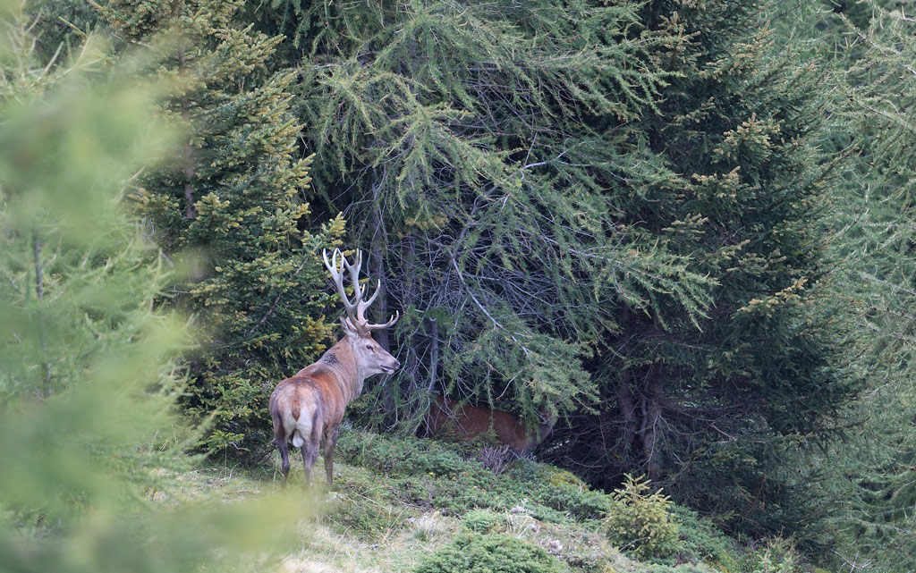 DS5_0621.jpg