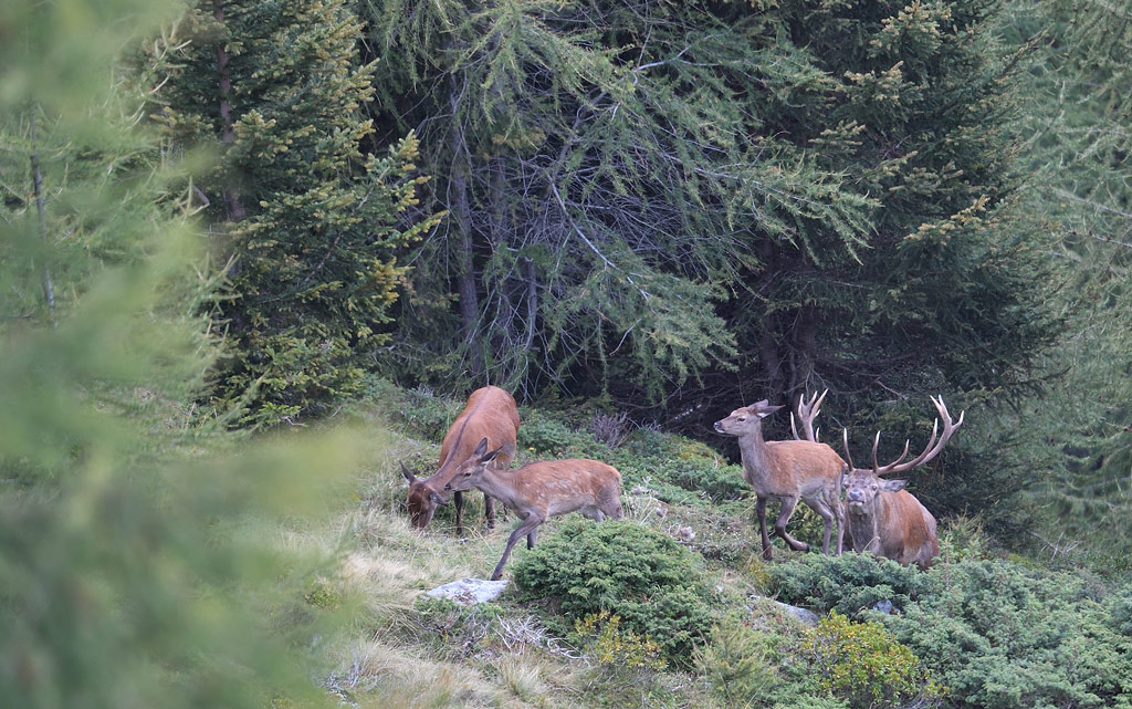 DS5_0635.jpg