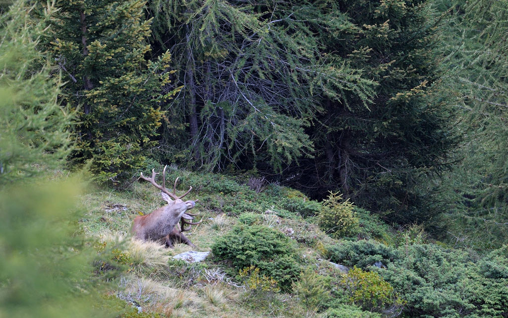 DS5_0660.jpg