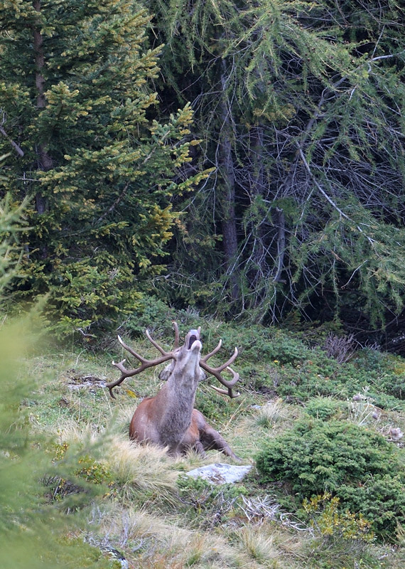 DS5_0672.jpg