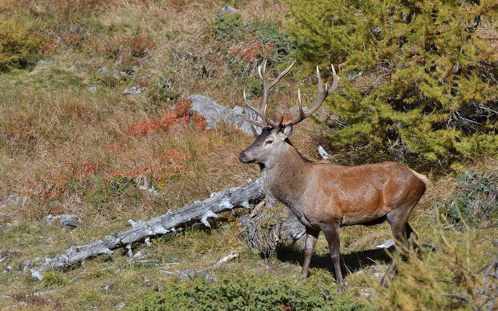 DSC_0028.jpg