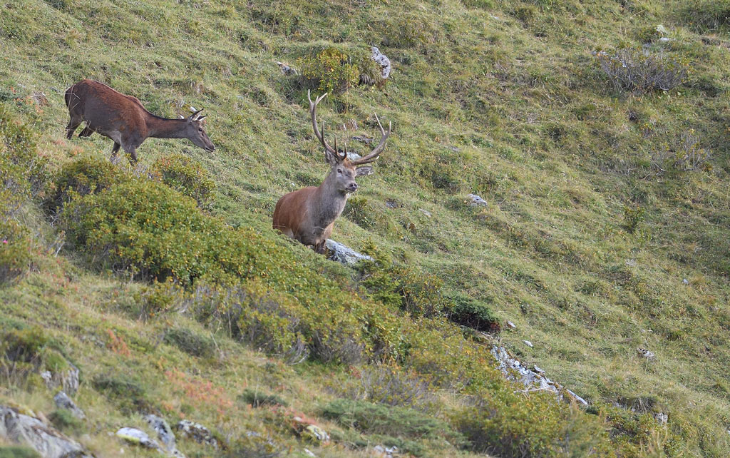 DS5_0770.jpg