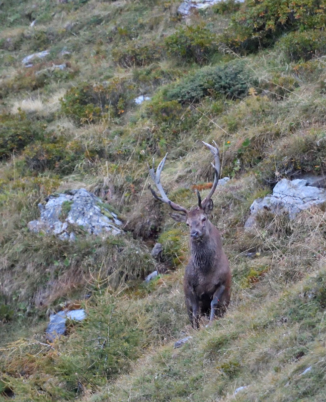 DS5_0786.jpg