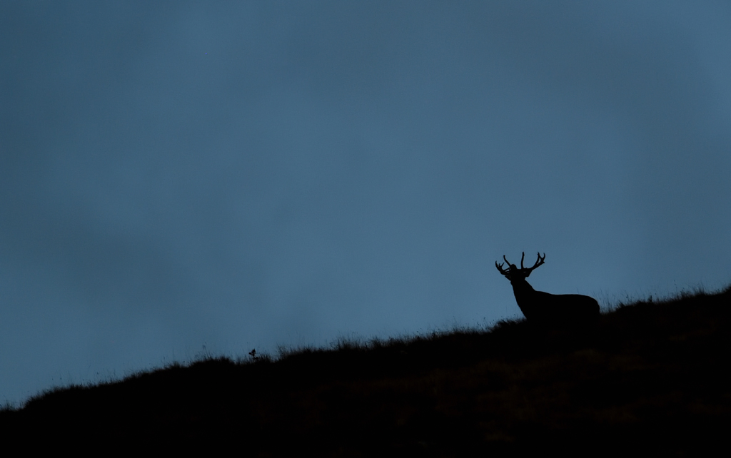DS5_0795.jpg