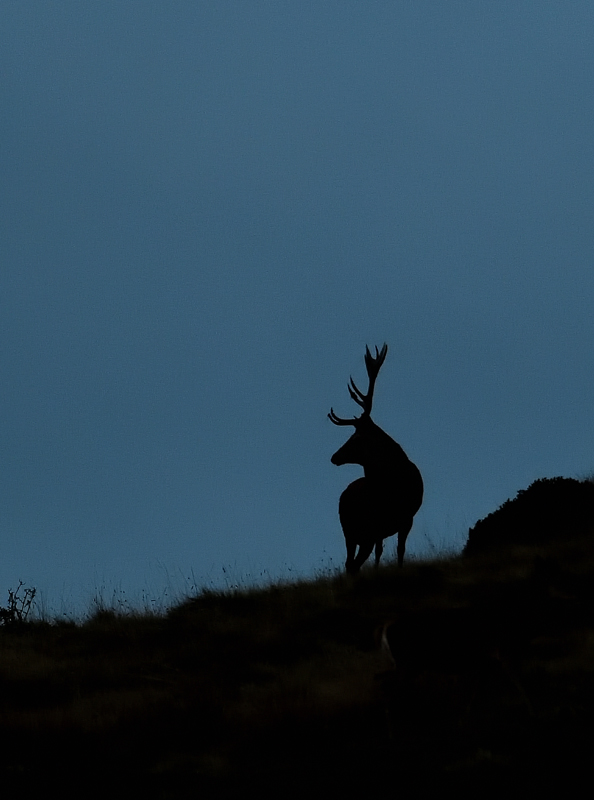 DS5_0801.jpg