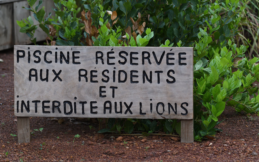 DS5_9658.jpg