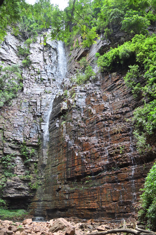 DS5_9723.jpg