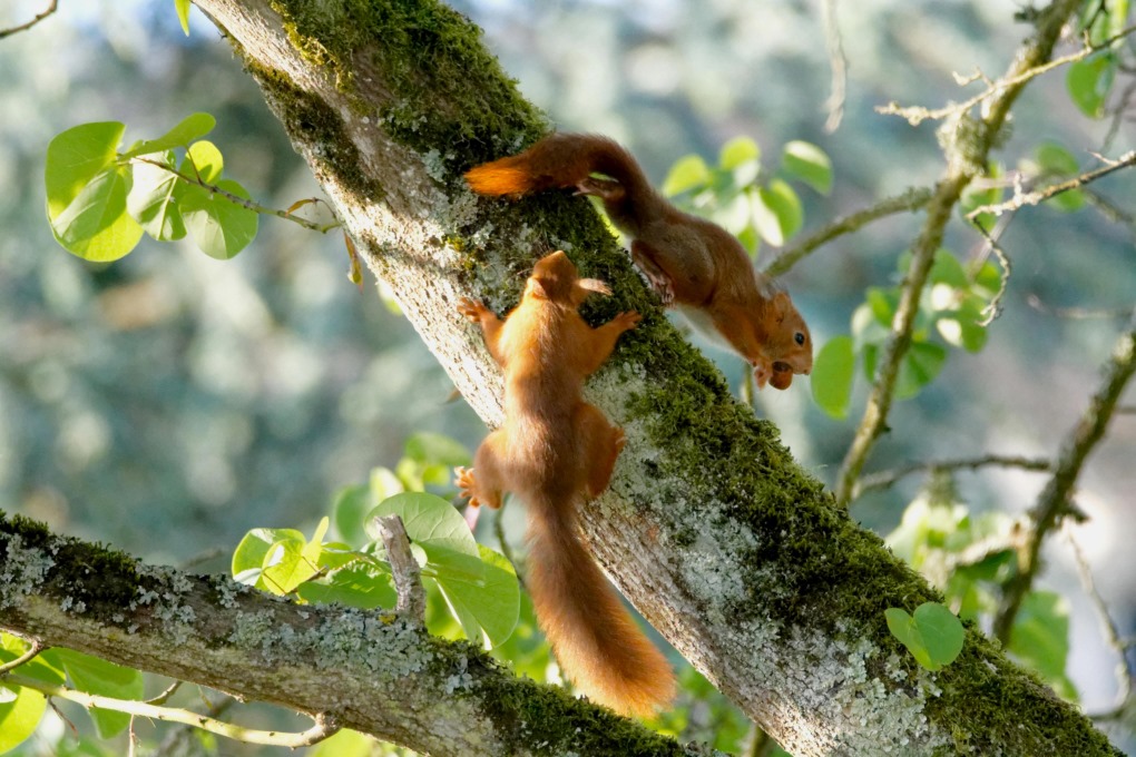 DSC_7648_DxO - Copie.jpg