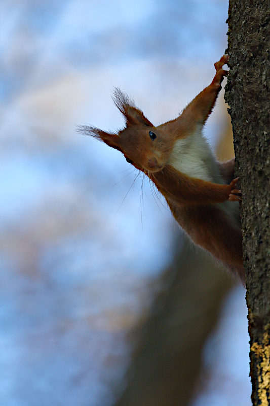 IMG_2396-web.JPG