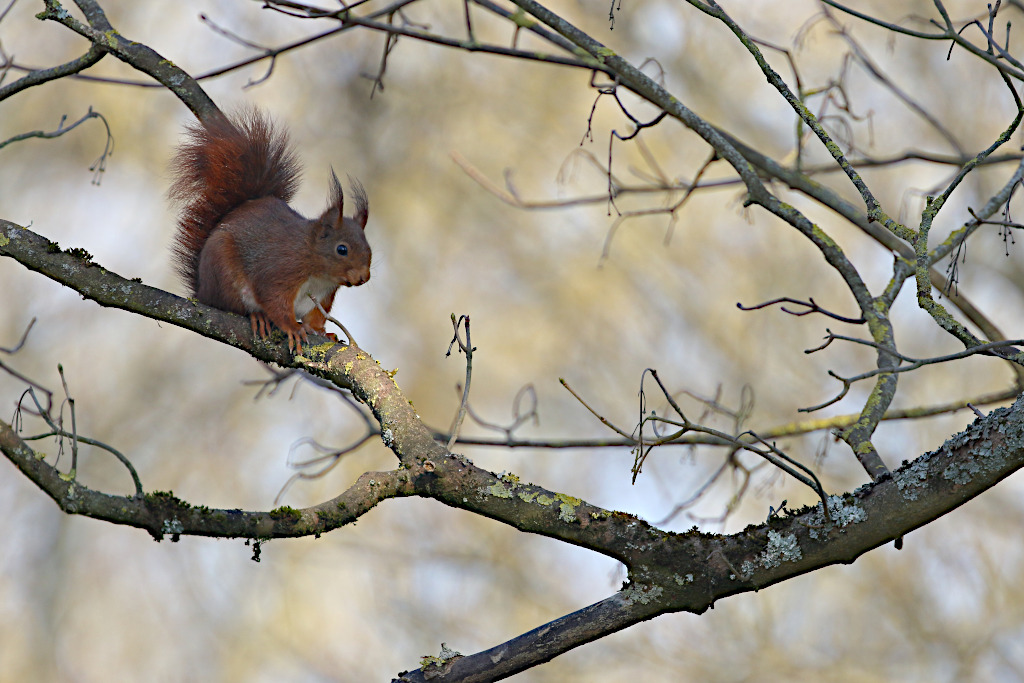 IMG_2777-web.JPG