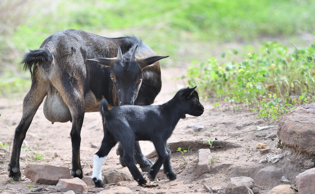 DS5_9734.jpg