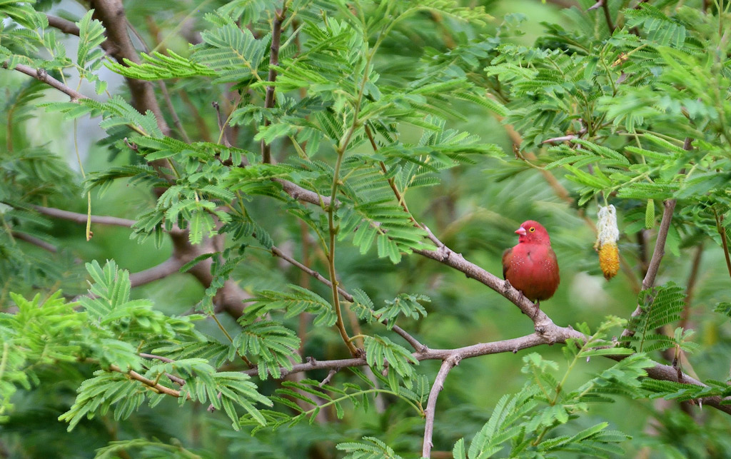 DS5_9735.jpg