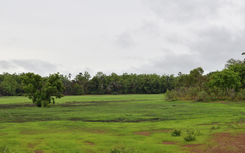 DSC_8005.jpg