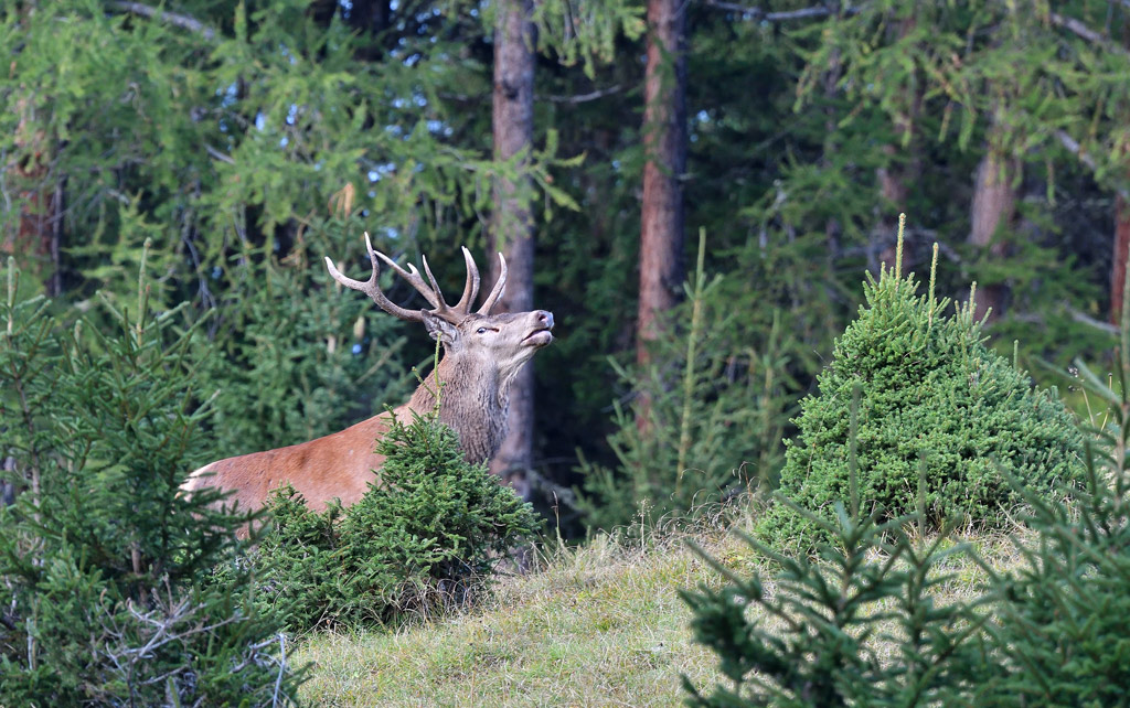 DSC_9289.jpg