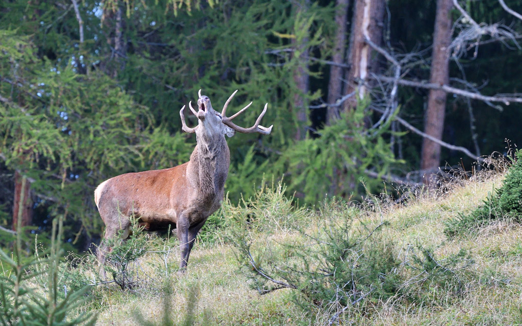 DSC_9295.jpg