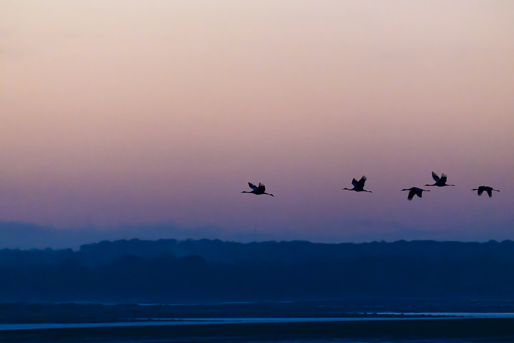 20221120-_DSC1359-Enhanced-NR.jpg