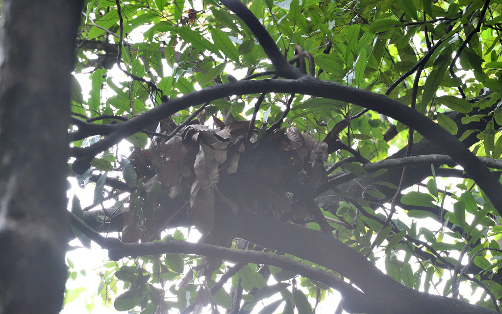 DS5_9760.jpg
