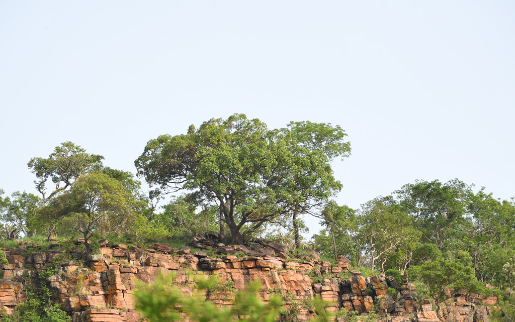 DS5_9765.jpg