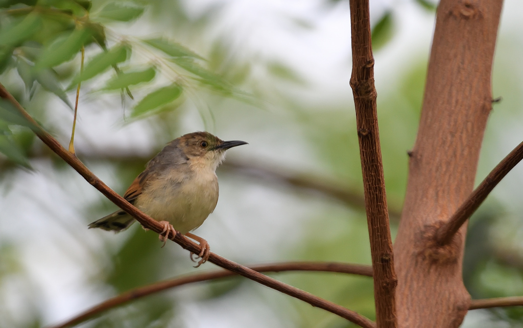 DS5_9864.jpg