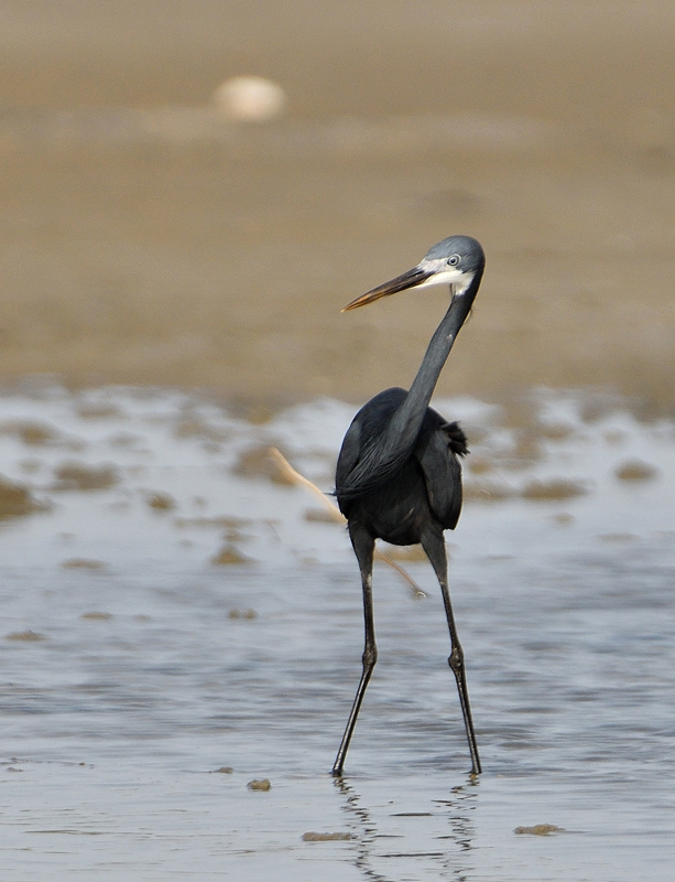 DSC_7824.jpg