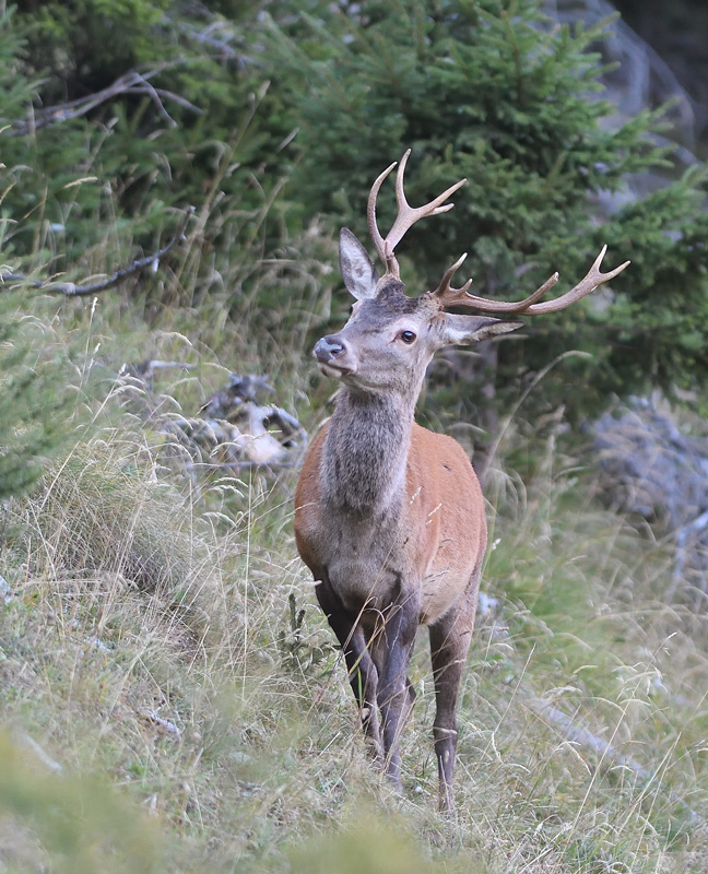 DS5_0863.jpg