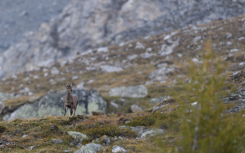 DS5_0892.jpg