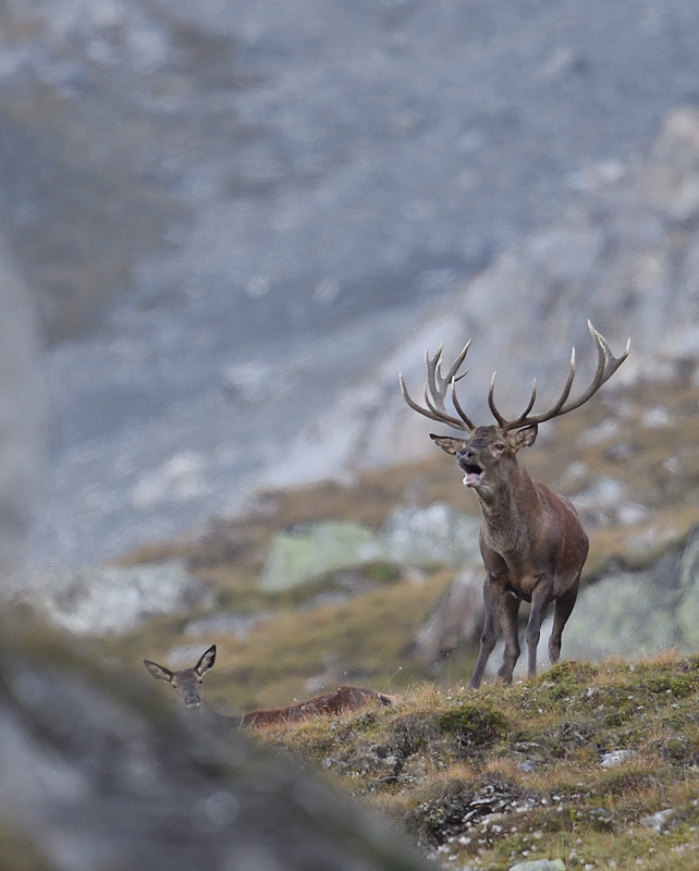 DS5_0904.jpg