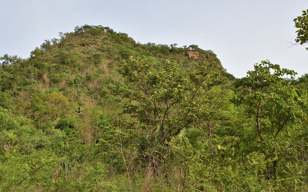 DSC_8083.jpg