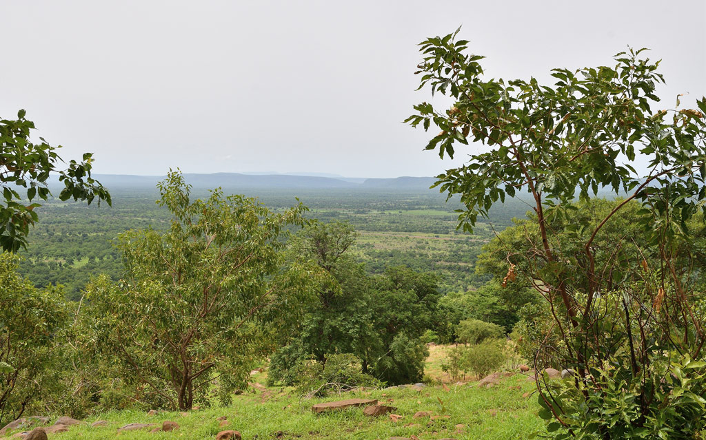 DSC_8095.jpg