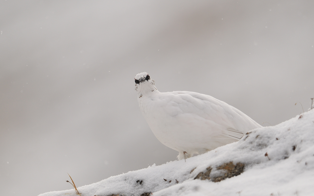 DS5_1580.jpg