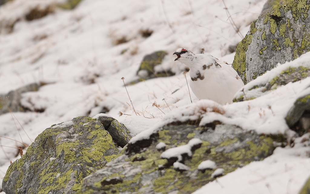 DS5_1599.jpg