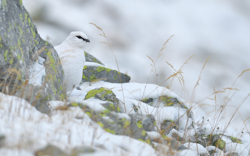 DS5_1657.jpg
