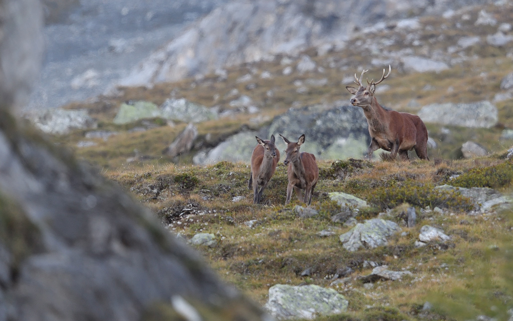 DS5_0941.jpg